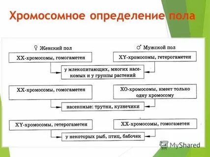 И придерживаться ее в