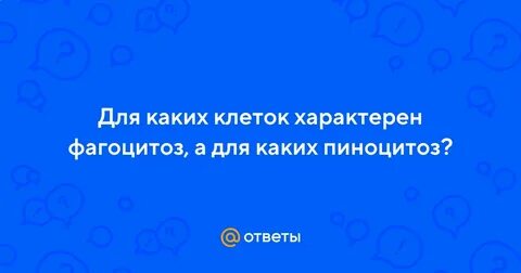 Пино и фагоцитоз