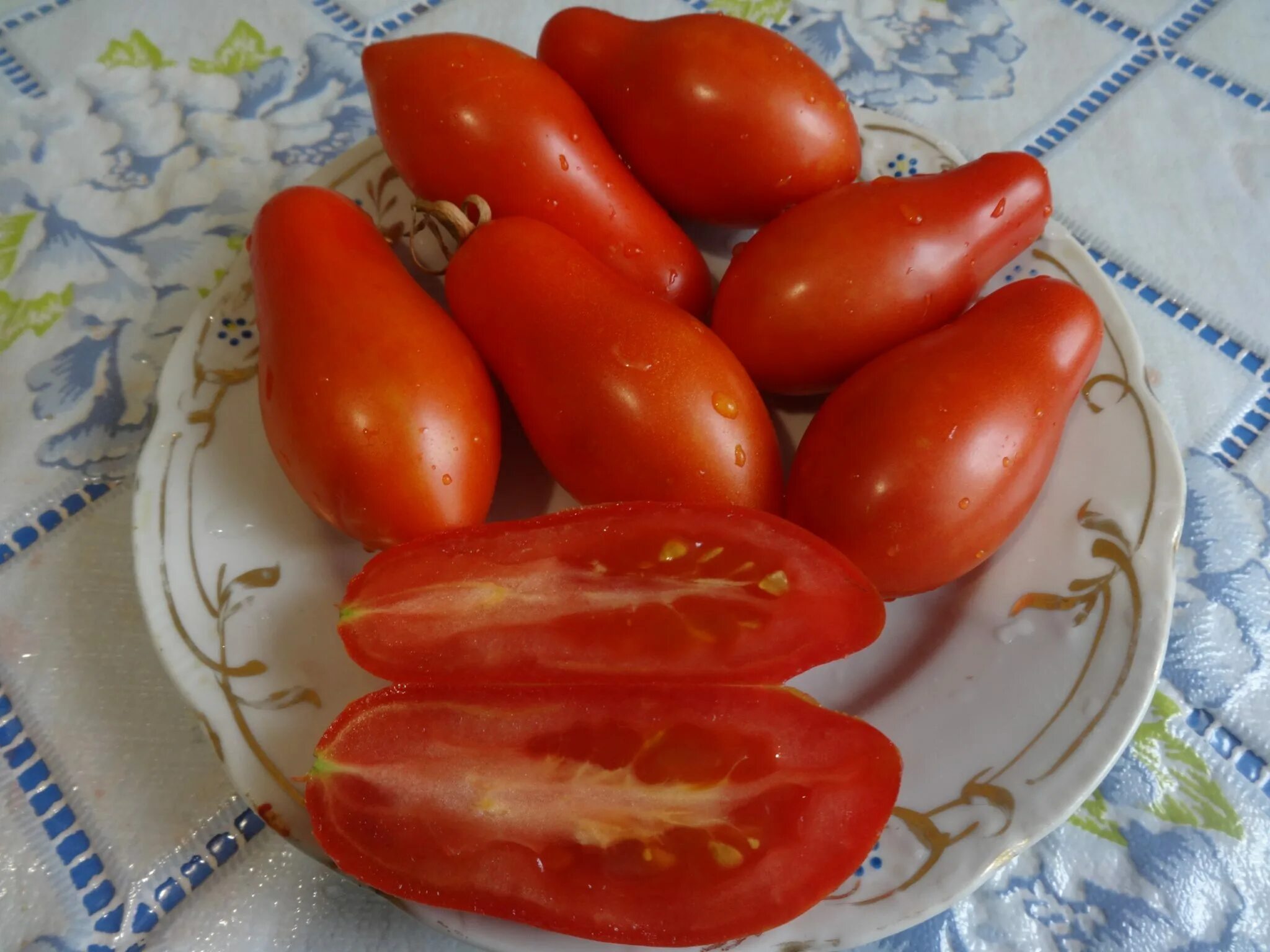 Сорта томатов сибирский пируэт. Томат сибирский пируэт семена алтая. Томат сорт сибирский пируэт. Сорта томатов сибирский пируэт. Томат сорт сибирский пируэт.