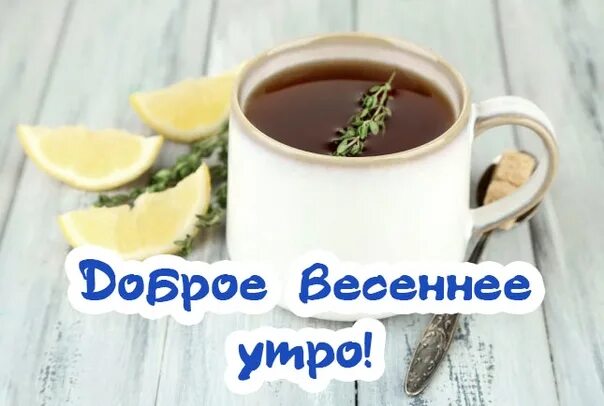 С добром утром картинки весенние на татарском. Доброе весеннее утро мужчине. доброе весеннее утро прикольные. картинки с добрым утром весенние прикольные. открытки с добрым утром весенние мужские.