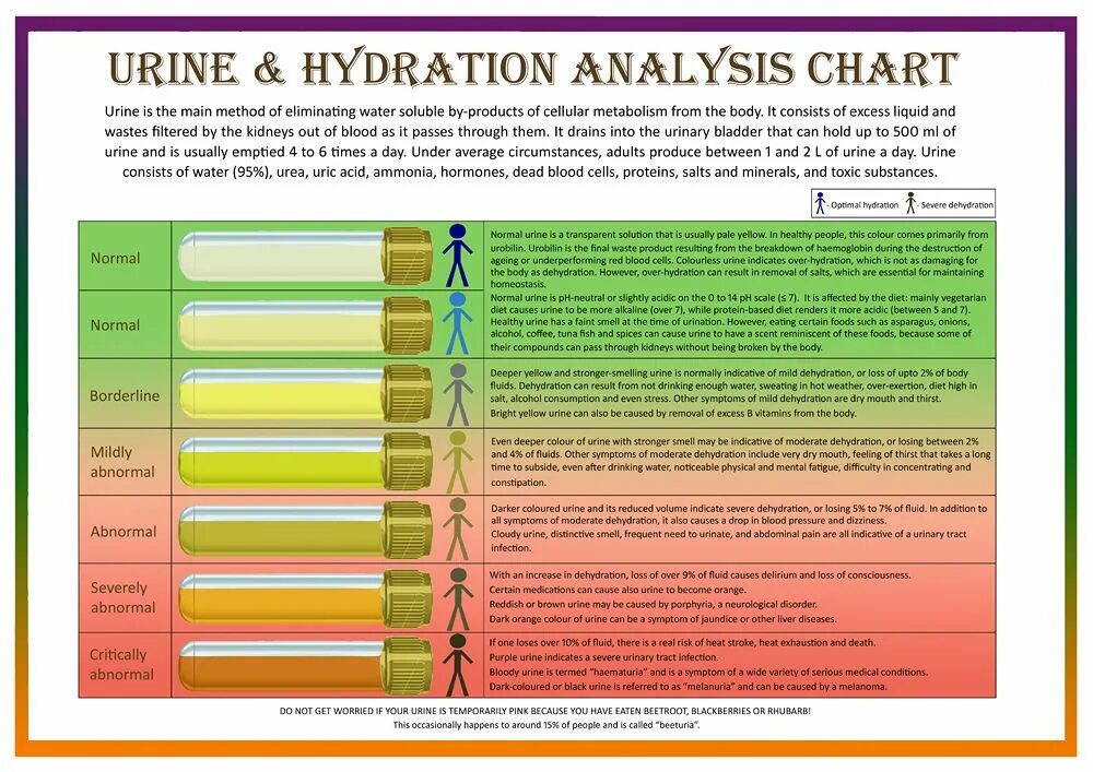 Шкала кала. Urine Analysis. Бристольская шкала кала. Шкала стула по цвету.