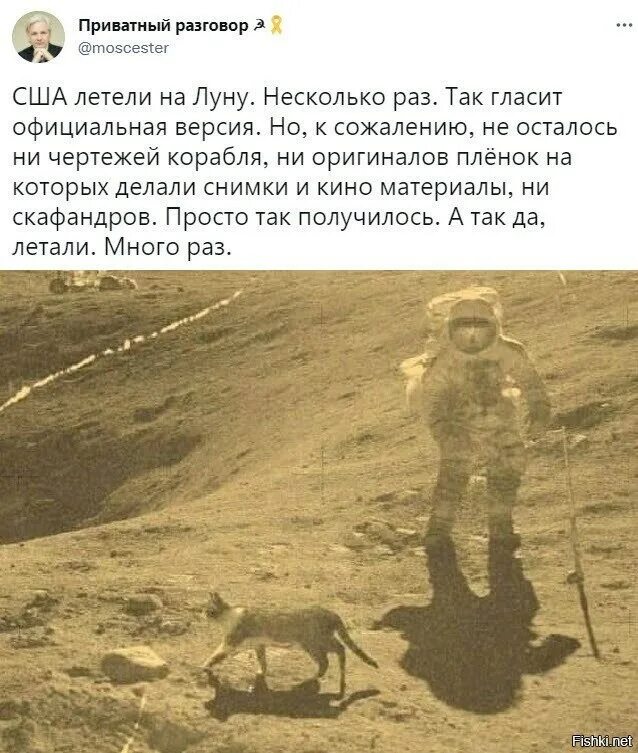 Какое животное облетело луну. Странности на Луне. Луна кошка астронавт. Кошка и американские космонавты на Луне. Кадры с Луны.