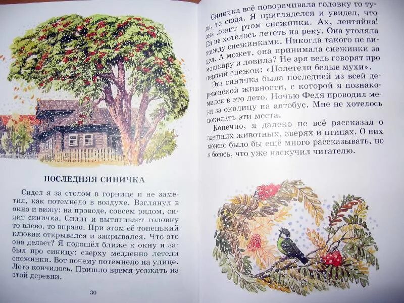 Книга Белов про мальку. Рассказ про мальку.