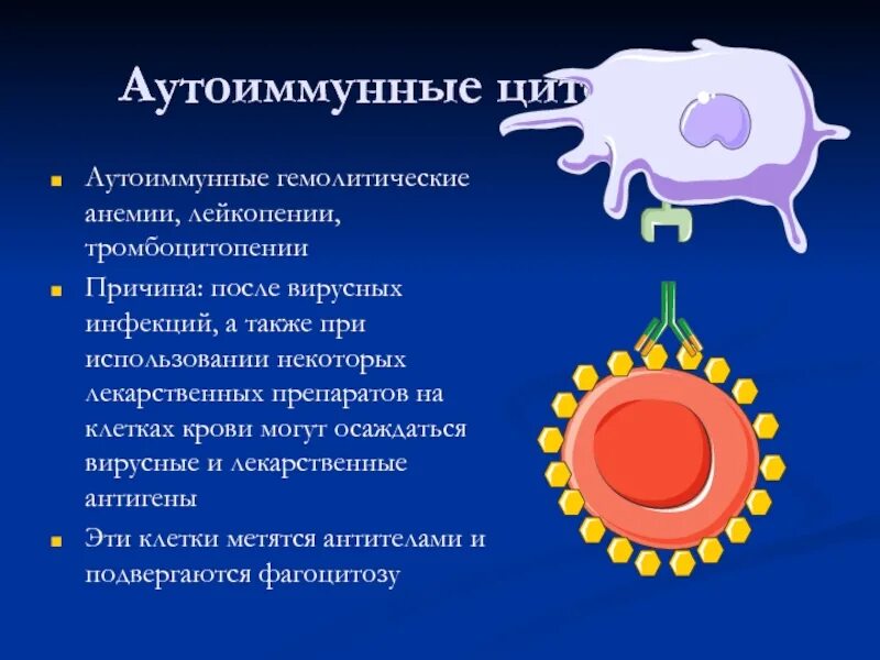 Аутоиммунная гемолитическая анемия Тип гиперчувствительности. Органоспецифические аутоиммунные заболевания иммунология. Иммунопатогенез аутоиммунных заболеваний. Аутоиммунные заболевания презентация. Ковид аутоиммунное