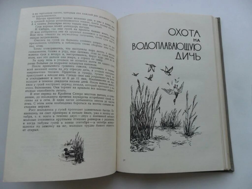 Охотничья литература. Рябов в.в. "охота по Перу". Рябов охота по Перу Озон. Купить книгу охота по Перу. Читать рассказы охотников