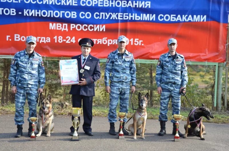 Сколько получают кинологи в полиции. Эксперт кинолог. специалист кинолог. соревнования кинологов мвд. кинологическая полиция.
