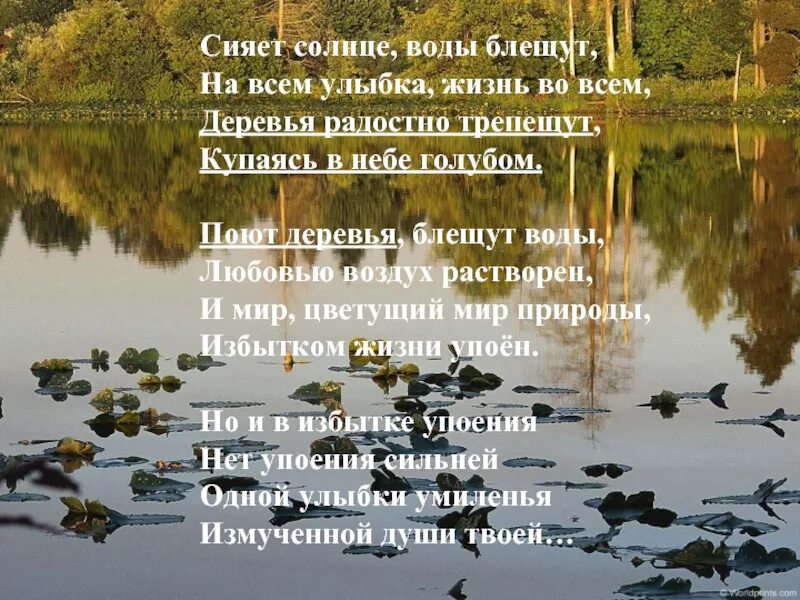 Слушаю стихи природе. Сияет солнце волны блещут Тютчев. Стихотворение. Стихи о природе. Стяют солнце воды блущуь.