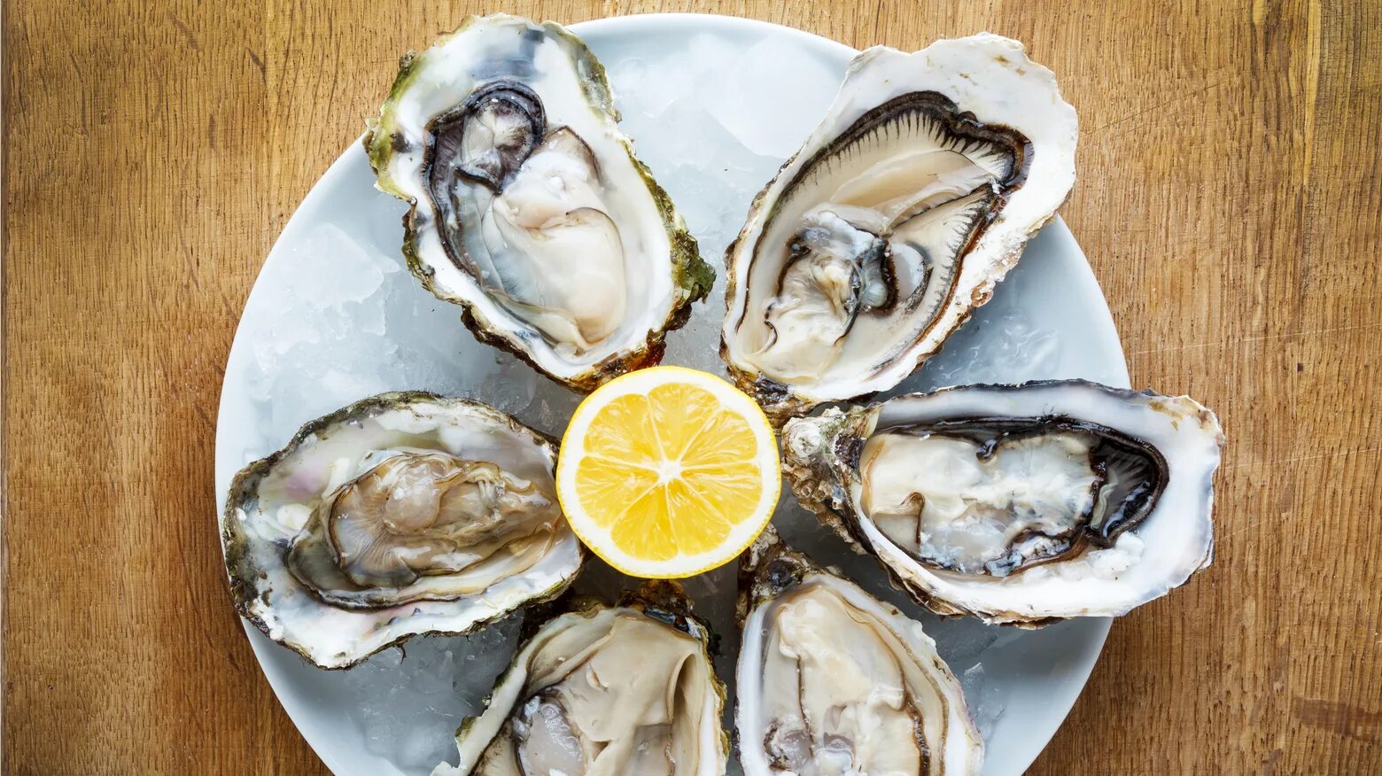 мидии vs устрицы. устрицы полезны для мужчин. устрицы dibba bay.