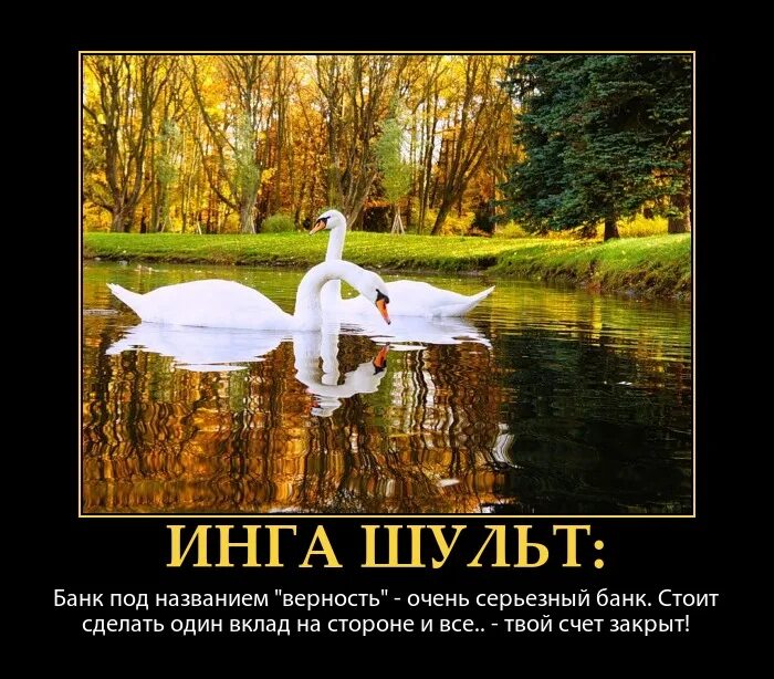 Белый лебедь на пруду караоке слова. Белый лебедь на пруду караоке слова