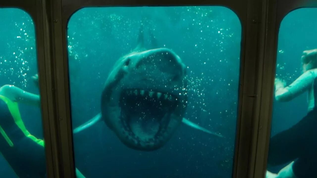 Синяя бездна 2 / 47 Meters down: Uncaged (2019). Синяя бездна Великобритания 2017. Ужасы про акул 2024