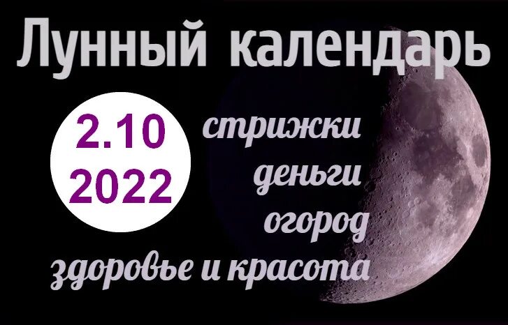 Когда лучше стричь волосы марте 2025 года: найдено 79 изображений