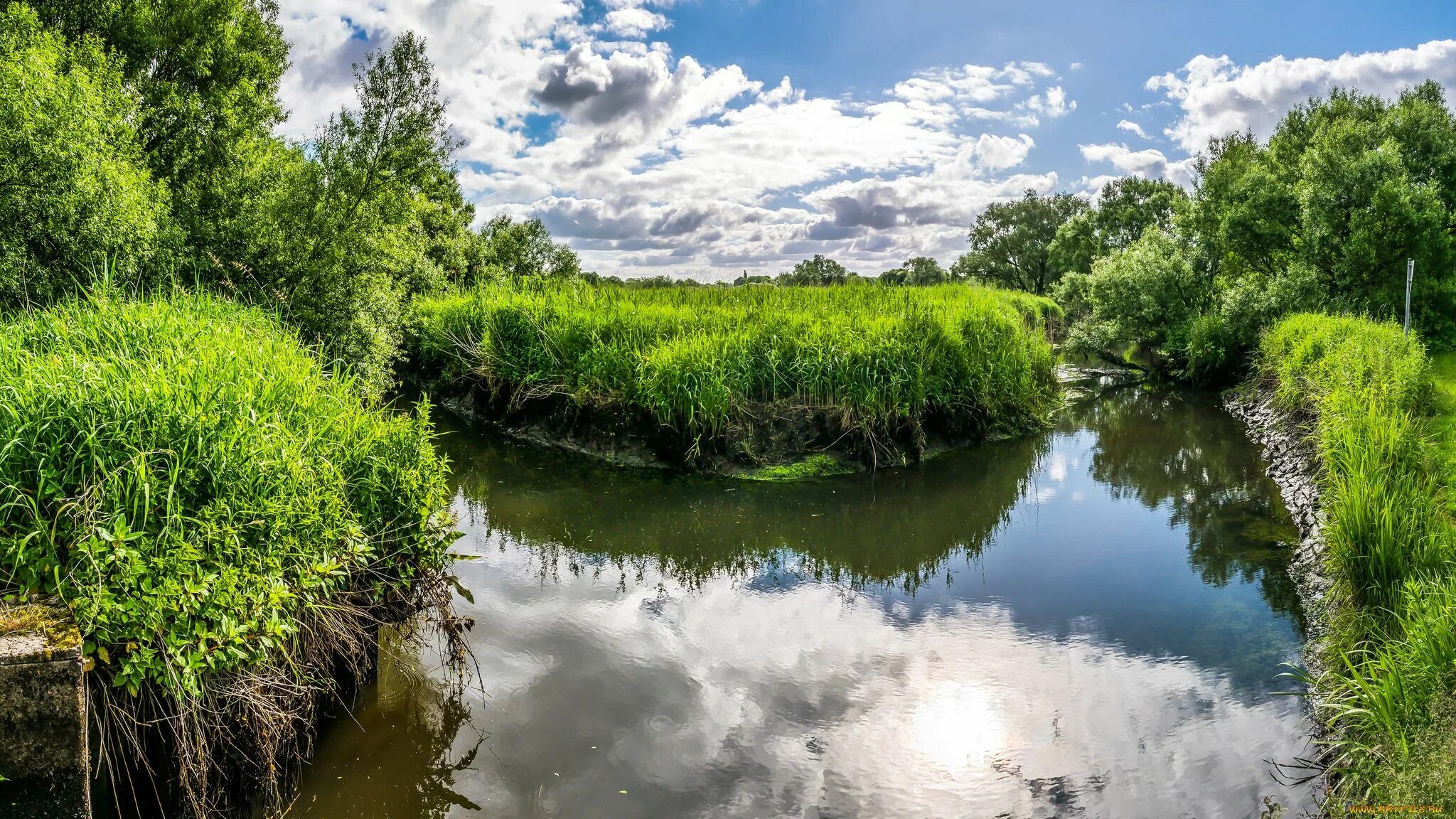 Река нерская. Озеро таир марий эл рыбалка. Река островка. Островок на реке. Карелия вуокса ладога.