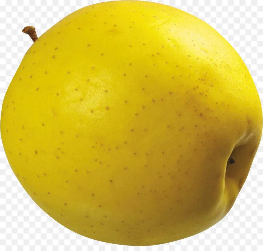 Яблоко домашнее. Грин эппл green apple. Зеленое яблоко желтая груша. Яблоки красные желтые зеленые. Яблоко зелено желтый цвет груши.