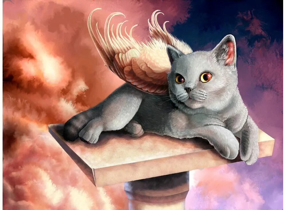 Котенок котэ волшебный