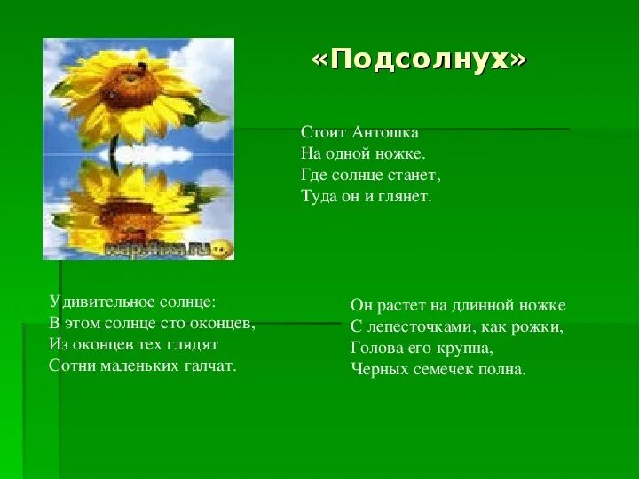 Стоит Антошка на одной. Антошка на 1 ножке. Антошка на одной ножке. Антошка на ножке загадка.