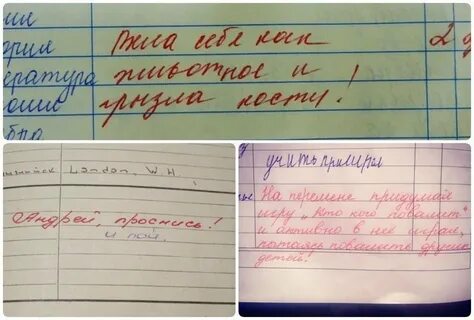 Как называется краткое замечание