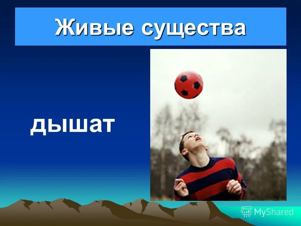 живое существо питается дышит. животные живые существа. живое существо дышит. животные дышат. закончи схему животное живое существо передвигается дышит схема.