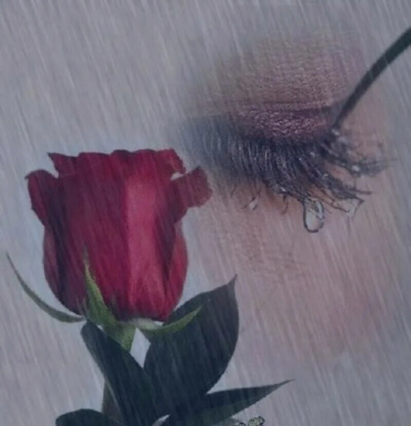 Hensy слезы и цветы. Цветок который плачет. Грустный цветок. Одинокий цветок.