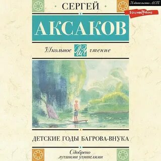 Детские годы багрова автор