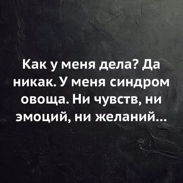 Никак картинки. Синдром овоща ни чувств ни. С него никак. Да никак.