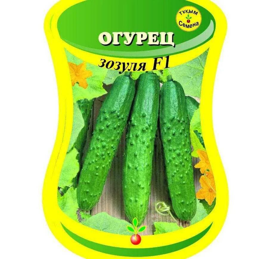 Огурцы сорт зозуля фото. Семена. огурец &quot;зозуля f1&quot;. огурец зозуля f1. сорт огурцов зозуля f1. сорт зозуля огурцы.