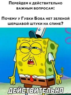 1 день что ли