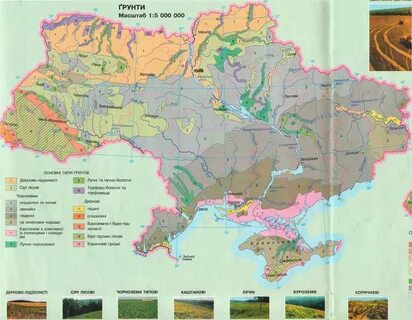 Грунтова карта