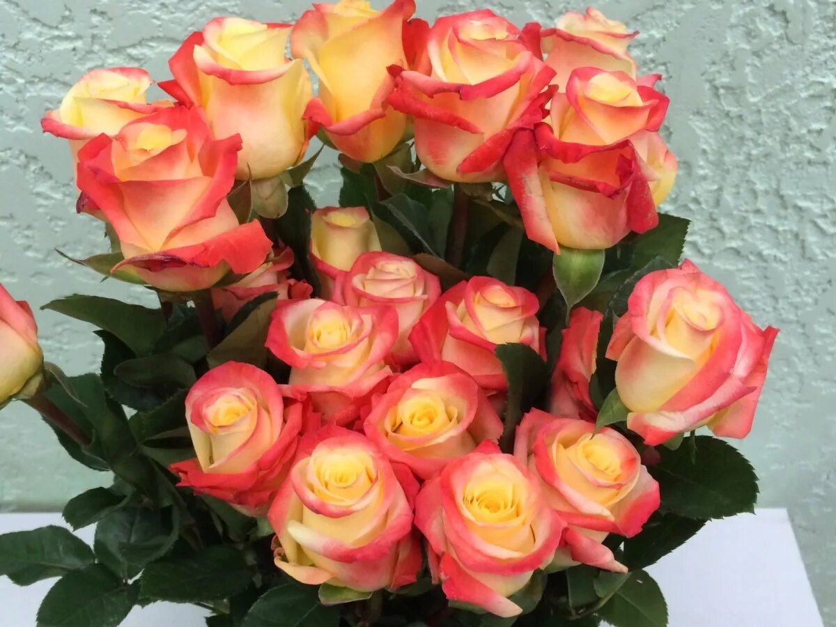 Pin by Allie Jhon on Flowers & Roses Red roses, Luxury flower bouquets, Rose flo