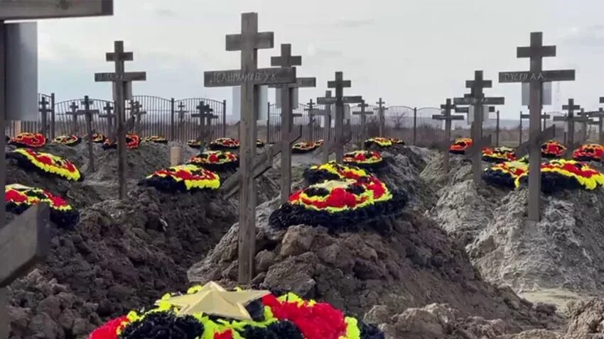 Кладбище чвк. Кладбище чвк