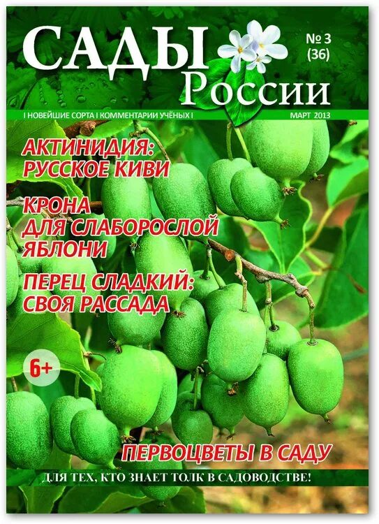 Сайт сады россии челябинск каталог