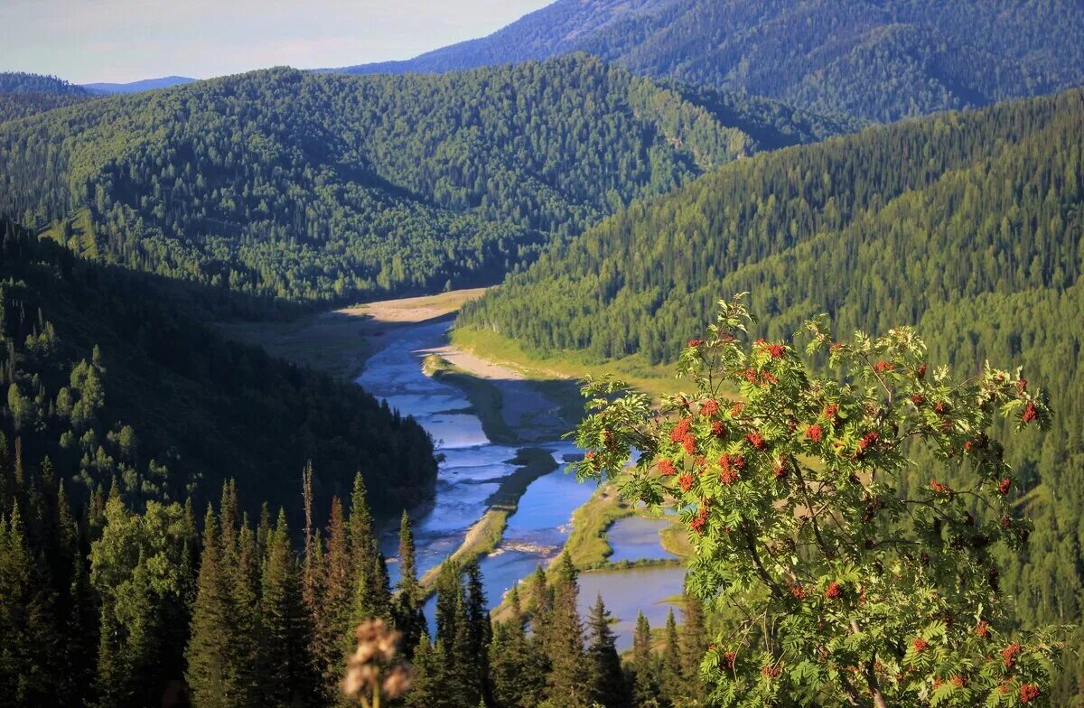 горные реки кузнецкого алатау. елогуйский заповедник. катуновский биосферный запо. биосферный заповедник алтая. баргузинский заповедник озеро байкал.