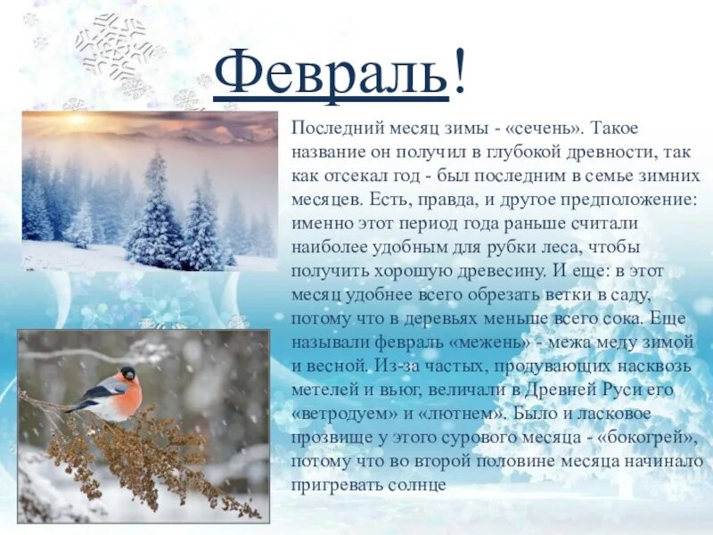 Какой будет январь в россии. Рассказ о феврале. Зимний месяц февраль. Февраль для детей. Рассказ про февраль для детей.