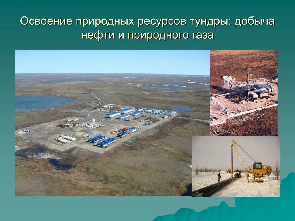 Освоения природных ресурсов. Природные ресурсы тундры. освоение природных ресурсов. добыча природных ископаемых в тундре. полезные ископаемые тундры.
