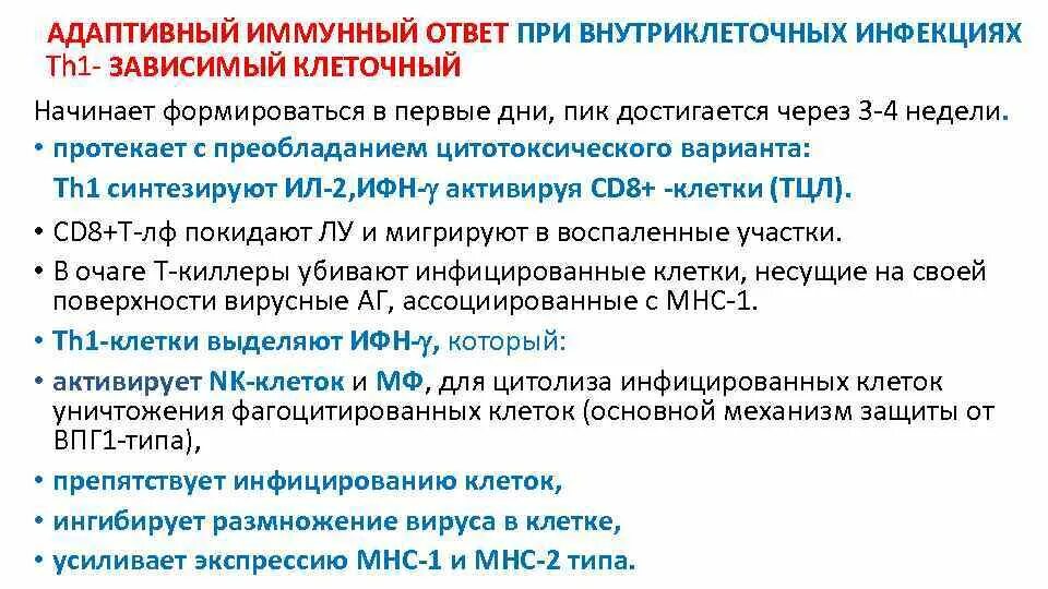 Адаптивный иммунный ответ. Формы адаптивного иммунного ответа. Клетки адаптивного иммунного ответа. Типы адаптивного иммунного ответа. Иммунный ответ при инфекциях