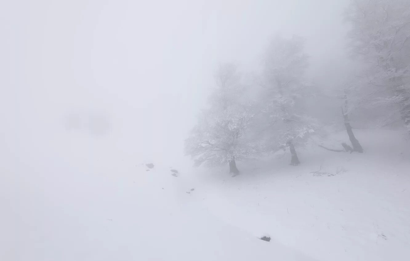 Снежный туман. Туман на льду. Метель. Зимняя мгла. Туман зимой.
