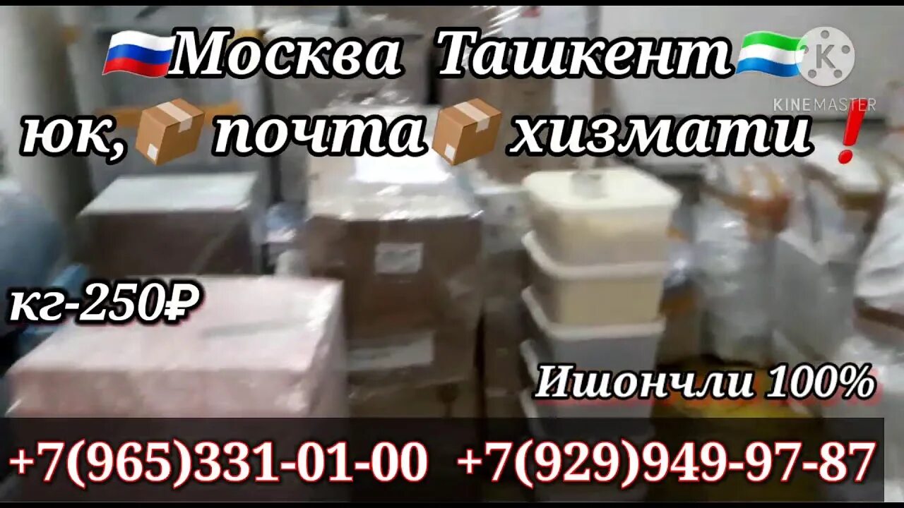 Карго Узбекистан Россия. Карго Москва Ташкент. Карго грузоперевозки в Узбекистан. Карго в Ташкенте.