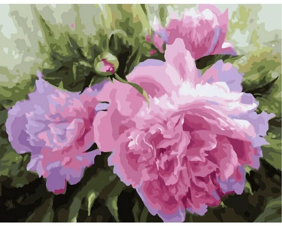 татьяна казакова художник. пион этюд буйко. художник кулигина татьяна картины пионы. инесса морозова живопись цветы. пионы татьяны дудко.