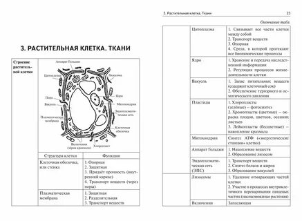Текст егэ по биологии