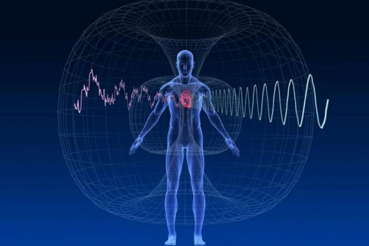 Электромагнитное поле живого организма. Электромагнитное излучение на человека. Влияние электромагнитного поля на человека. Магнитное поле человека. Влияние электромагнитного излучения на организм человека.