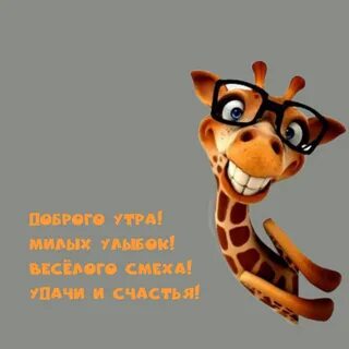 Удачи смеха