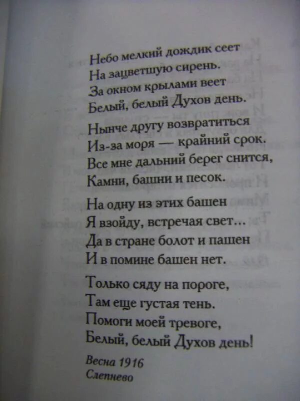 Небо мелкий дождик сеет Ахматова. Небо мелкий дождик сеет стих. Ахматова стихи. Духов день стихи Ахматовой.