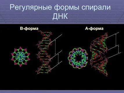 Регулярная форма