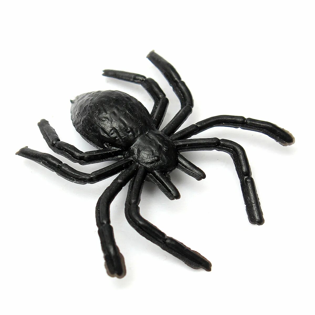 Черный паук хорошо. Черный паук. Большой черный паук. Паук черного цвета. Деревенский черный паук.