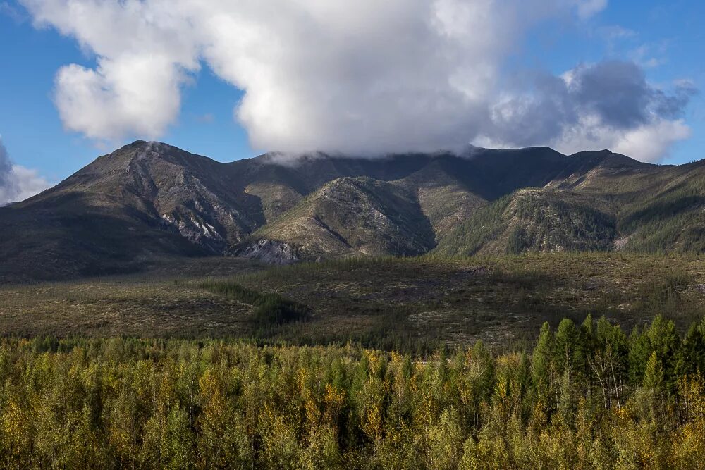 плоскогорья якутии. звездочки южной якутии. республика саха якутия река олекма. горы аргатас. юг якутии.