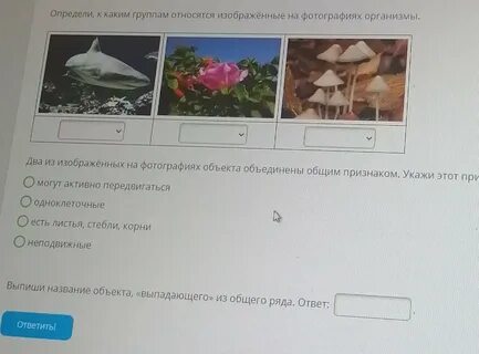 2 объекта объединены общим признаком