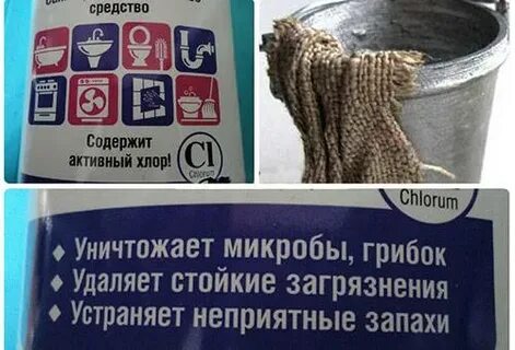 Плесень коляска