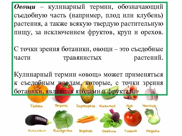 Какие овощи являются ягодами. Овощи с точки зрения ботаники. Овощи и фрукты понятия в ботанике. Ягоды с точки зрения ботаники. Овощи термин.
