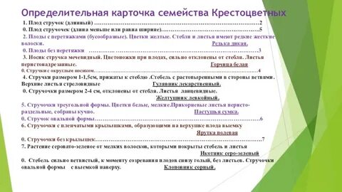 Определительная карточка