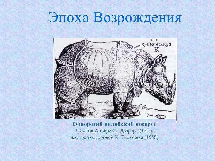 Альбрехт Дюрер носорог. Дюрер носорог гравюра. Альбрехт Дюрер носорог гравюра. Носорог схема.