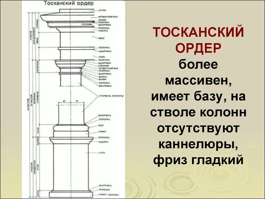 Тосканский ордер в архитектуре древнего Рима. Тосканский ордер строение. Энтазис тосканского ордера. Ордера древнего Рима композитный и Тосканский.